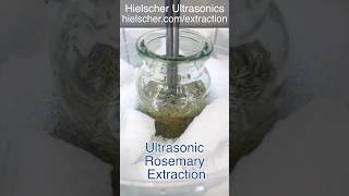 IceCold Rosemary Extraction with the Hielscher UP200HT Sonicator [upl. by Eidnim795]