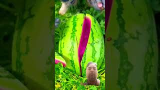 Pink watermelon watermelon trending shortsfeed viralvideos shortsviral [upl. by Padget]