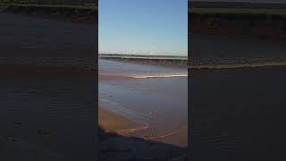 Tidal Bore  Moncton New Brunswick Canada [upl. by Valdes933]