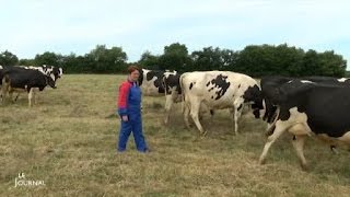 Lait  Des éleveurs font toujours face à la crise Vendée [upl. by Natsuj]