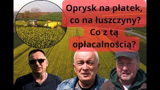 Rzepak  oprysk na płatek co na łuszczyny i co z tą opłacalnością [upl. by Torin]