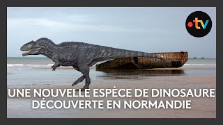 Une nouvelle espèce de dinosaure découverte en Normandie [upl. by Liliane]