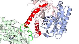 Adenylate cyclase activation with sound [upl. by Cathyleen503]