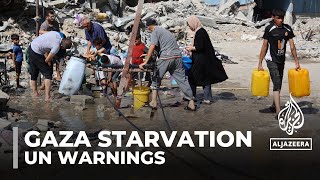 Children starving to death as hunger spreads in Gaza [upl. by Iatnwahs]