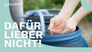 Regenwasser nutzen Mache nicht diese 3 kritischen Fehler [upl. by Sam]