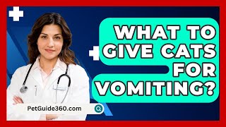 What To Give Cats For Vomiting  PetGuide360com [upl. by Elodie]