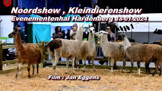 Noord show  kleindierenshow Evenementenhal Hardenberg 18 01 2024 [upl. by Atirac]