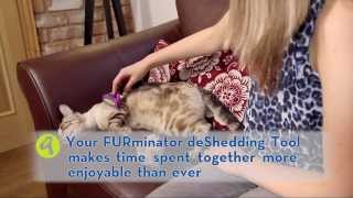 FURminator deShedding Tools for Cats [upl. by Eillak]