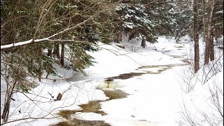 Canada  La campagne en hiver ❄️ [upl. by Sigfried64]