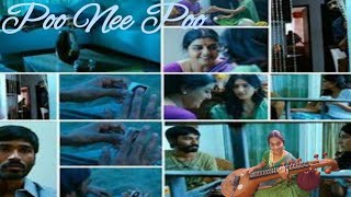 Poo nee poo  3  Anirudh  Veena Cover [upl. by Hadeehsar54]