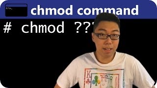 UNIX chmod Command [upl. by Rossner209]