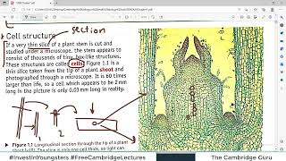 Chp1 CELLS Part1  5090 Cambridge O Level Biology  Hodders Biology  The Cambridge Guru [upl. by Anilrats]