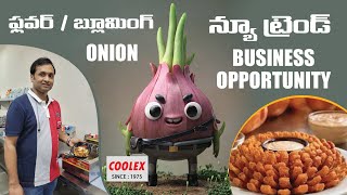 Flower Onion or Blooming Onion New Trend Business Opportunity  COOLEX Food Machines VJA [upl. by Jezrdna]