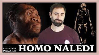 🔹 HOMO NALEDI  Las principales especies de homininos y etapas de la prehistoria [upl. by Nilra931]