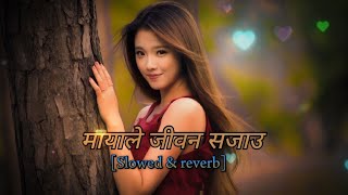 Mayale Jiban SajauAsmita Adhikari  nepali song  slowed and reverb [upl. by Kcirrek899]