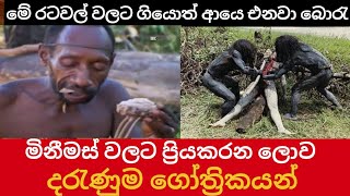 🌎 මිනීමස් වලට ප්‍රිය කරන ලොව දරැණුම ගෝත්‍රිකයන් tribes cannibaltribes danguros [upl. by Eniluqaj]