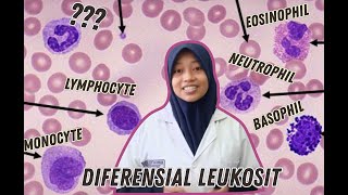 Tutorial mudah belajar differensial Leukosit [upl. by Frymire]