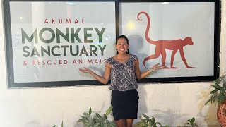 A unique experience at Akumal Monkey Sanctuary amp Rescued Animals Check it out KimNashLawley [upl. by Rogerson706]