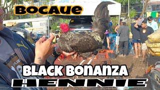 BLACK BONANZA HENNIE NI BOSS ERIC [upl. by Quintilla]