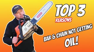 This STIHL Chainsaw Is Not Oiling The Bar amp Chain STIHL HUSQVARNA Etc [upl. by Zehc]