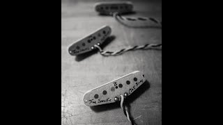 Fender Stratocaster Demo w Tone Specific Pickups [upl. by Elrem850]