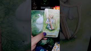 VOCÊ MANCHUCOU QUEM AMA tarot [upl. by Tanah]