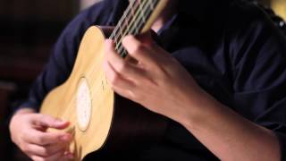 Canarios  Gaspar Sanz  Baroque Guitar [upl. by Vaughn]