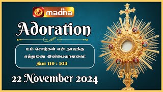 🔴 LIVE 22 November2024 Adoration 1100 AM  Madha TV [upl. by Repsihw]