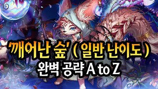 【던파】 깨어난 숲 일반 난이도 완벽 공략 A to Z [upl. by Rahel]