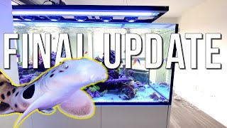 🦈 Shark Reef Final UpdateWhat I Have Learned [upl. by Yvonne32]