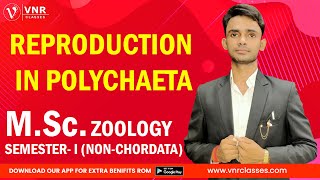 REPRODUCTION IN POLYCHAETA  ZOOLOGY  MSc SEMESTER  I  NONCHORDATA  BY PRAHALAD SIR [upl. by Novaat]