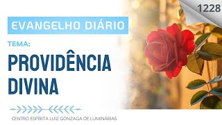 Evangelho Diário 1228 PROVIDÊNCIA DIVINA  Com Ana Silva [upl. by Oniluap963]