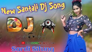 new Santali video DJ song SARDI SITUNG RIYAR JAPUT  DJ SUSANTA BABU [upl. by Cesya]