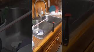 Cooking jasmine rice best method tinyhouse food rice salmon good yummy rigged [upl. by Navetse880]