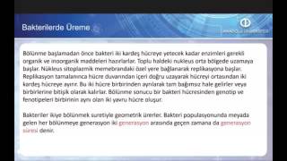 TEMEL VETERİNER MİKROBİYOLOJİ İMMÜNOLOJİ  Ünite1 Özet2 [upl. by Ahsein]