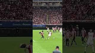 GDL ES ROJINEGRO❤️🖤 rojinegrosdelatlas futbol chivas ligademexico ligamexicana [upl. by Motch]