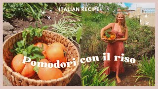 Pomodori con il riso 🍅 Healthy ITALIAN recipe [upl. by Fayth]