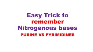 Nucleotide bases Super trick to remember nitrogenous basis  purine and pyrimidine [upl. by Nired]