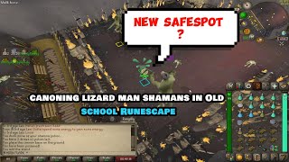 LIZARDMAN SHAMAN NEW SAFE SPOT CANNON GUIDE [upl. by Yevreh]