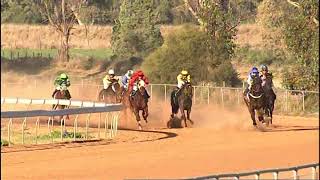 Nyngan 6th of July 2024 race 6 [upl. by Adneram]