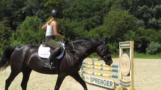 Azubi Lea bei den letzten Springübungen vor ihrer Abschlußprüfung  Ingrid Klimke offenes Training [upl. by Eikcir]