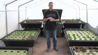 Aquaponics Garden Kits for Your Backyard [upl. by Enneles]