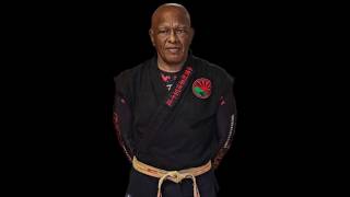 Grandmaster Ron Van Clief [upl. by Hospers151]