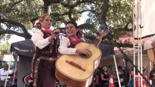 Mariachi Flor de Jalisco  La Bamba [upl. by Anirpas]