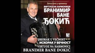 Branimir  Bane Djokic  Paracinka kolo  Audio 2017 HD [upl. by Joanne293]