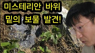 미스테리안 바위 밑의 보물 발견 금속탐지기 탐험 탐사 여가활동 여가생활 보물찾기 취미생활 삼국지 [upl. by Hervey793]