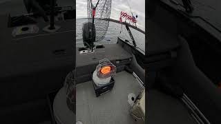 How to Stay WARM on the boat shorts boat catfish fishing walley cold winter hunting [upl. by Ifok]