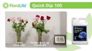 Floralife® Quick Dip 100 Timelapse [upl. by Elleniad]