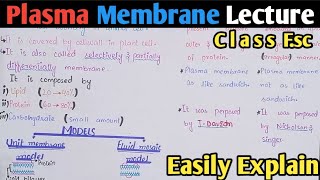 Plasma Membrane Structure And Functions  Fluid Mosaic Model  Class 11 Biology [upl. by Knitter]