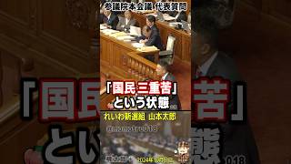 れいわ新選組 山本太郎 本会議代表質問『財務省や経団連に首輪をつけられた政治屋に消費税廃止は無理ですか？だったらまず消費税減税を！』 石破茂総理『社会保障の財源なので無理』 たがや亮『それ詭弁ですよ』 [upl. by Adlar820]